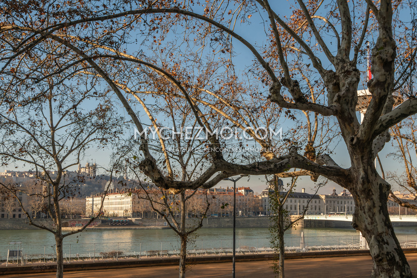 Vue quais du Rhône